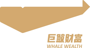 杭州巨鲸财富管理(lǐ)有(yǒu)限公司